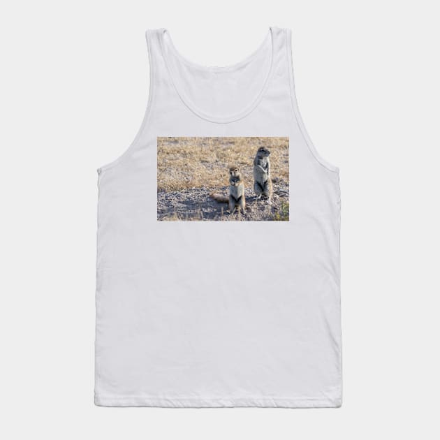 Squirrels. Tank Top by sma1050